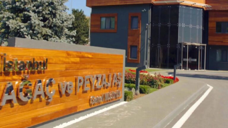 İBB soruşturmasında Ağaç ve Peyzaj A.Ş.’ye operasyon: 20 kişiye tutuklama talebi