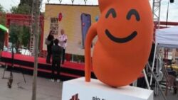 Kalp var, beyin var, böbrek yok: Türk Böbrek Vakfı’ndan dünyaya “emoji” çağrısı!