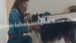 Nevşin Mengü: Kadın köpeğe ‘oğluşum’ dedi diye soyumuz tükenir mi?