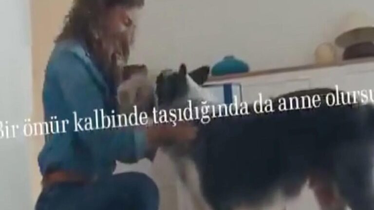 Nevşin Mengü: Kadın köpeğe ‘oğluşum’ dedi diye soyumuz tükenir mi?