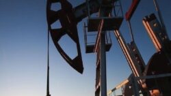 OPEC+ üyesi yedi ülkeden üretim artış kararı