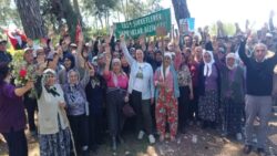 Akbelen protestoları sırasında tutuklanan Esra Işık’ın ikinci duruşması bugün