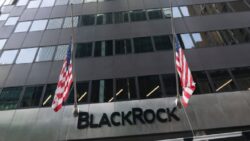 BlackRock gelişmekte olan piyasalara karşı temkinli