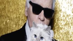 Karl Lagerfeld’in 1,7 milyon Euro bıraktığı kedisi Choupette, mirasından tek kuruş alamadı