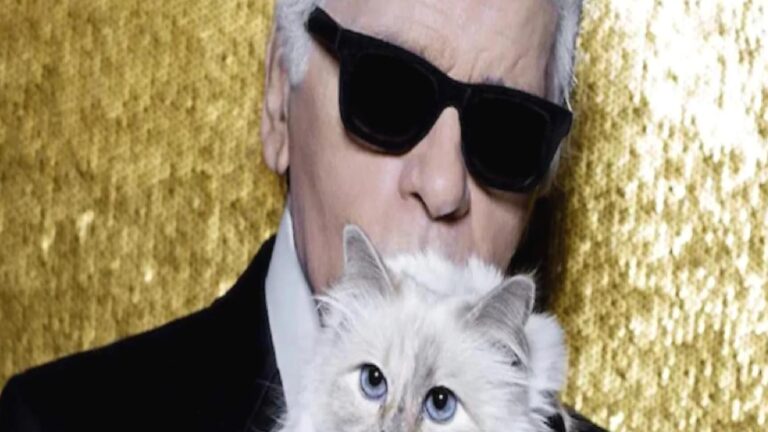 Karl Lagerfeld’in 1,7 milyon Euro bıraktığı kedisi Choupette, mirasından tek kuruş alamadı