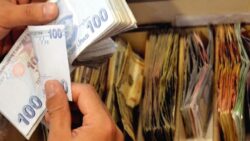 BES havuzundaki birikim 2,4 trilyon lirayı aştı