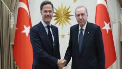 Cumhurbaşkanı Erdoğan, NATO Genel Sekreteri Rutte ile görüştü