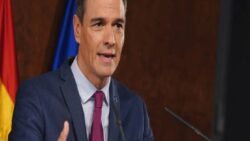 Sanchez, Schengen çağrılarına AB göç verileriyle yanıt verdi