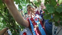 Özel, Trabzonspor forması giydi, fındık topladı: AK Parti’nin kara düzeninin aksine kim taban fiyatının altında işlem yapılıyorsa onların yakasını bırakmayacağız