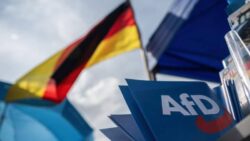 Almanya Türk Toplumu’ndan aşırı sağcı AfD tepkisi: İnsanların güvenliği güvence altına alınmalı