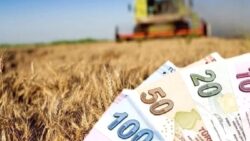 Bitkisel üretim destekleri değişti: 2027 için destek katsayısı dekara 442 lira oldu