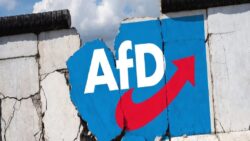 TEPAV Göç Araştırmaları Merkezi Direktörü Erdoğan’dan Almanya’da AfD’nin yükselişi hakkında açıklama: AB’nin tükenmesine yol açabilir